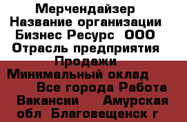 Мерчендайзер › Название организации ­ Бизнес Ресурс, ООО › Отрасль предприятия ­ Продажи › Минимальный оклад ­ 30 000 - Все города Работа » Вакансии   . Амурская обл.,Благовещенск г.